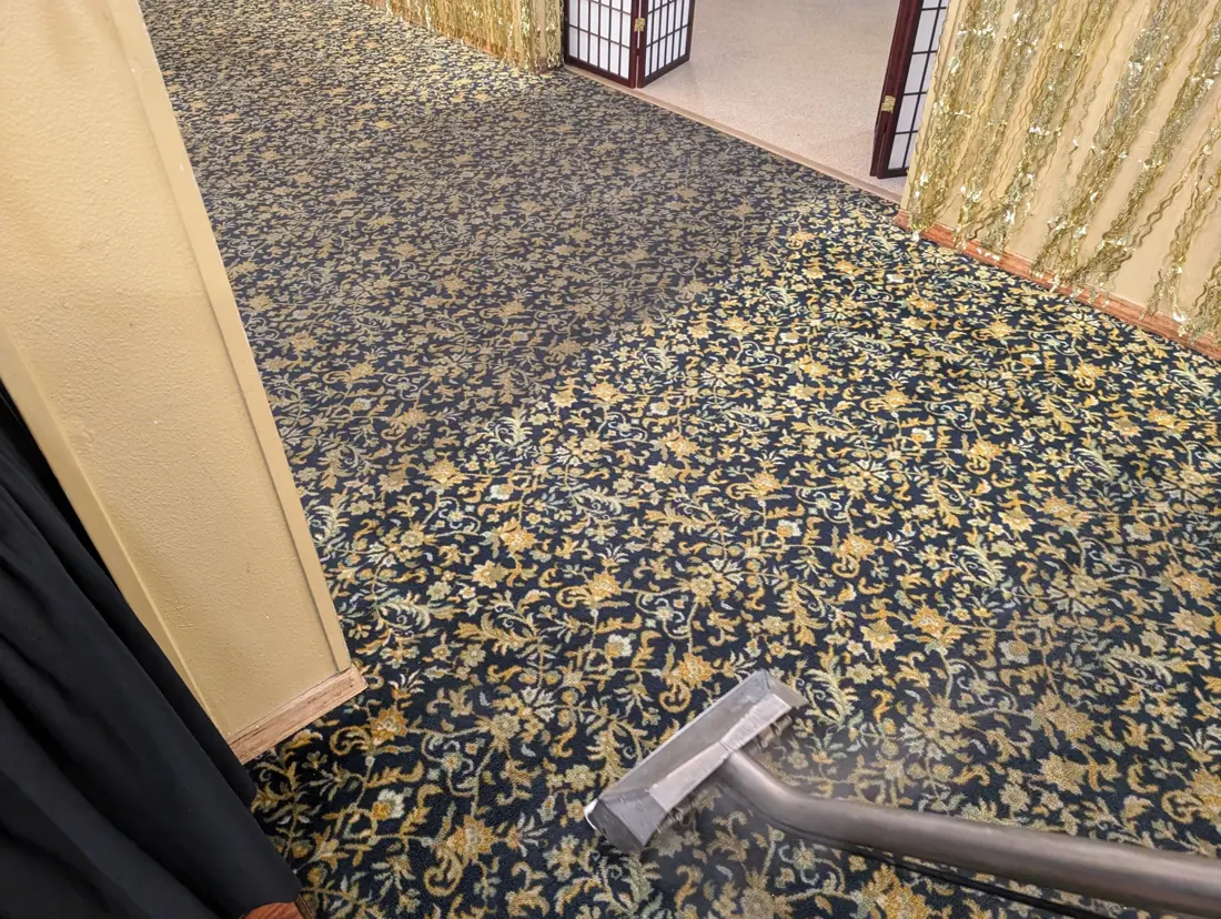 Carpet cleaning equipment in use inside a home