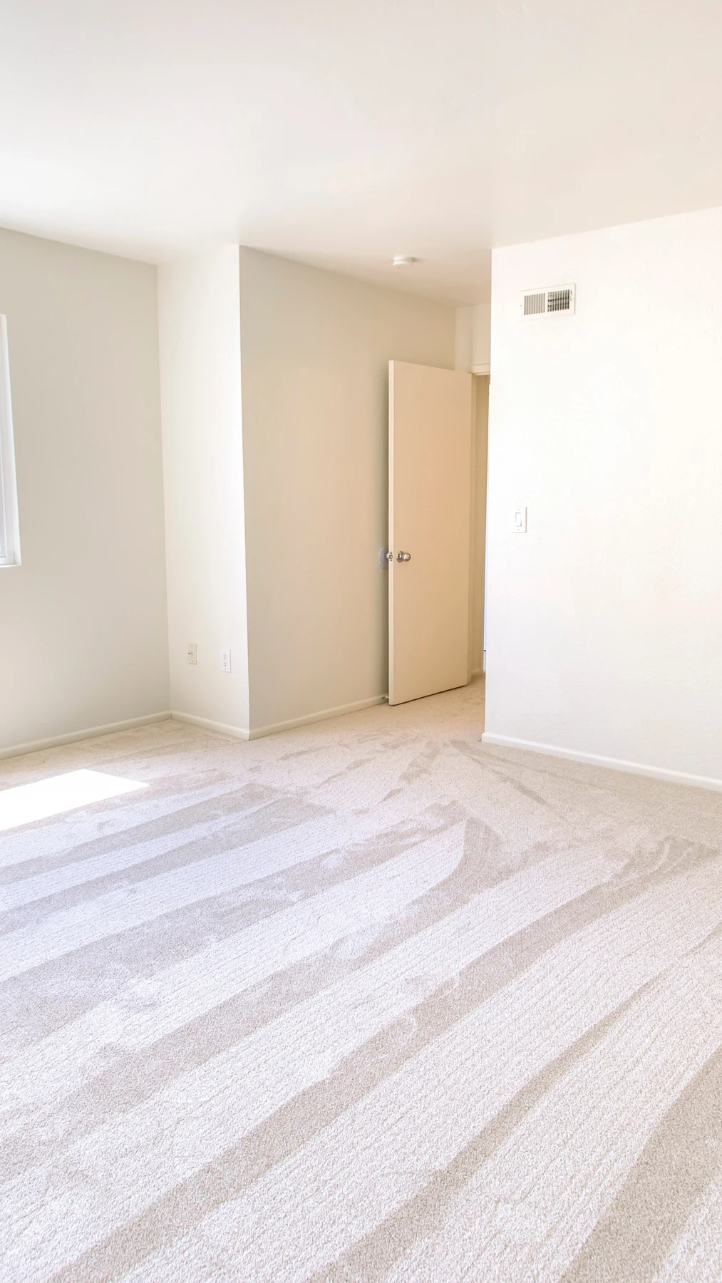 Light carpet with fresh cleaning lines in an empty room