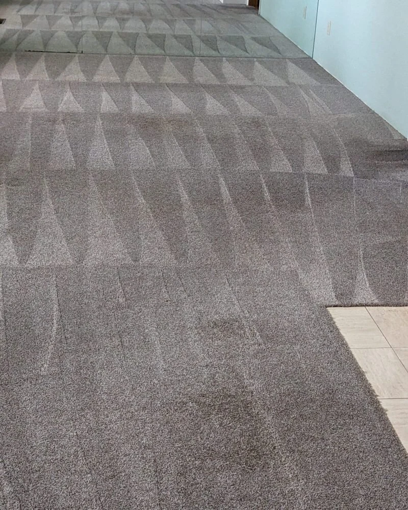 Freshly cleaned carpet with neat cleaning passes