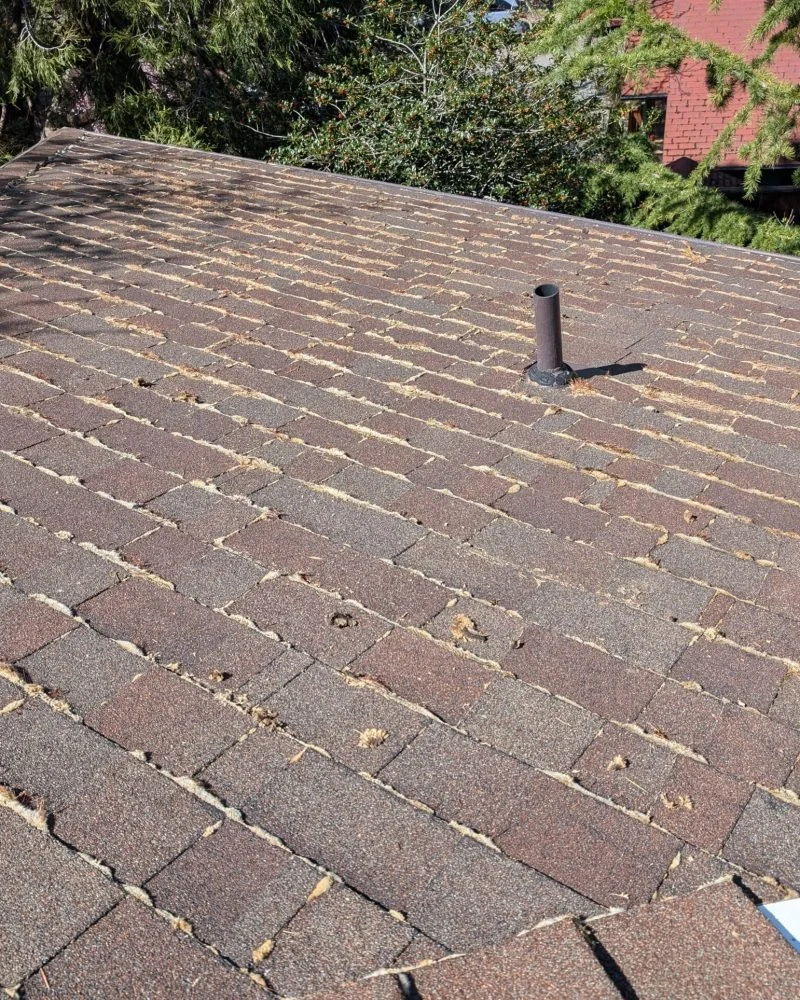 Shingle roof in a moss cleaning project